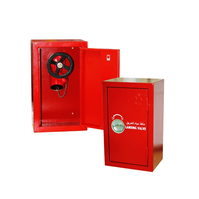 Landing Valve Cabinet